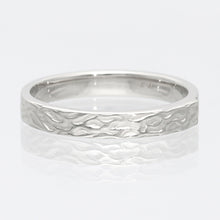 画像をギャラリービューアに読み込む, Hibiki - ひびき